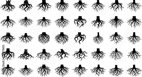 Photos Detailed tree roots silhouette bundle featuring organic underground stump bases