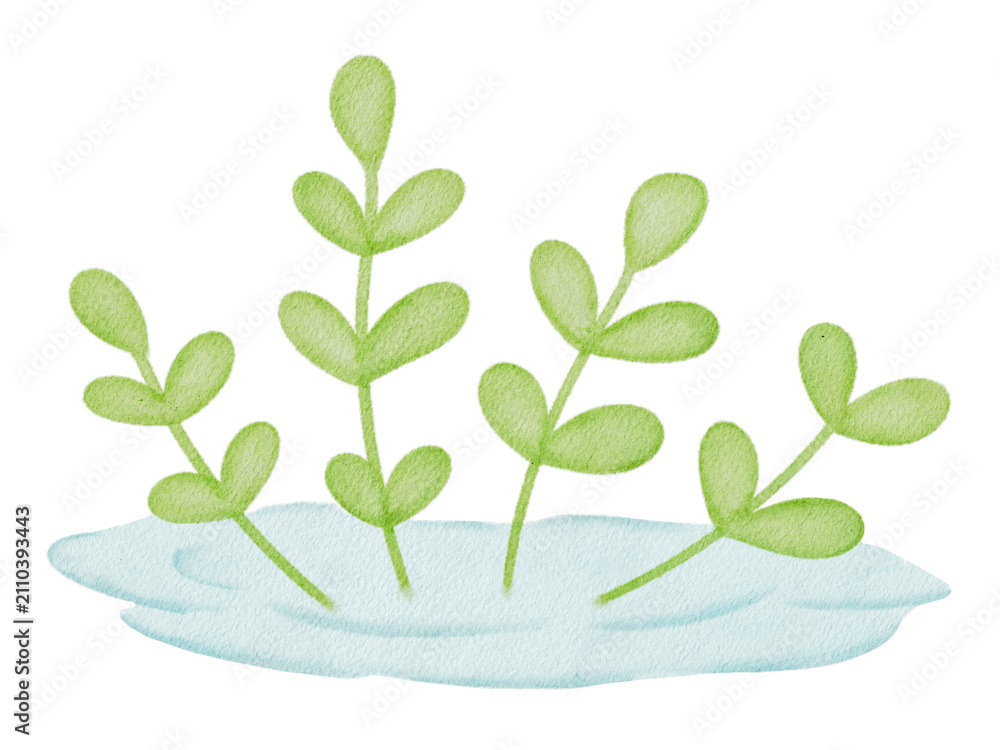 Obraz premium Watercolor Green Plant Shoots in Water 