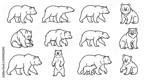 Konstfotografi Minimalist bear line art collection, 12 grizzly and polar bear vector icons, bla