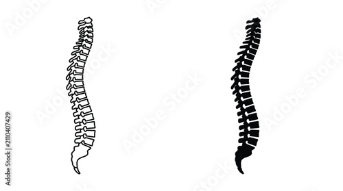 Black and white outline illustration of human spine anatomy