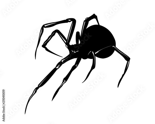Cuadro en lienzo Black widow spider vector silhouette, poisonous arachnid icon isolated on white background, halloween and pest control design element