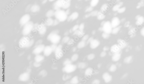Fotografie Soft dappled light shadow overlay effect on white wall isolated on transparent b