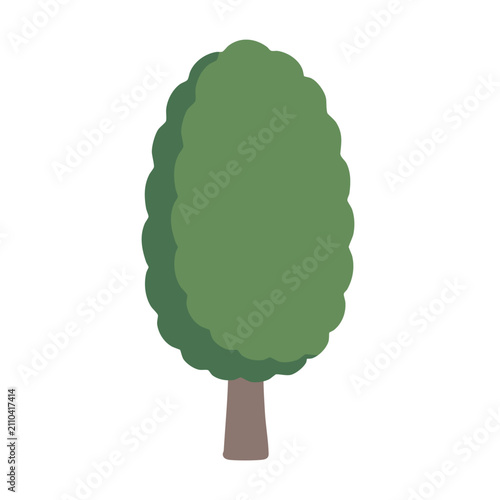 Green tree icon. Flat vector illustration of a deciduous tree for landscape design.