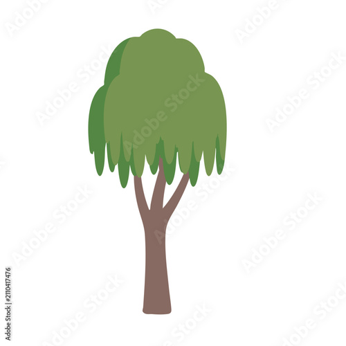 Green willow tree icon. Flat vector illustration of a weeping willow plant.