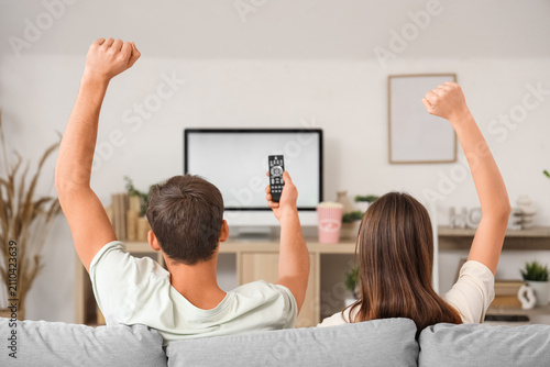 Happy young couple watching TV on sofa at home, back view