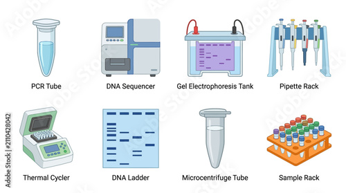 Biotechnology Laboratory Equipment: DNA Sequencing, PCR, Electrophoresis