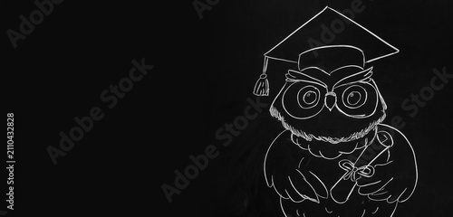 Chalk drawing of owl with g...