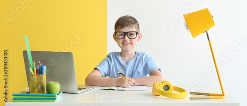 Smiling young boy in glasse...