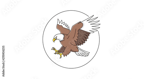 Brown eagle flying in circle