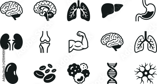 Obraz na płótnie Human internal organs and anatomy icon set vector illustration medical science collection design project