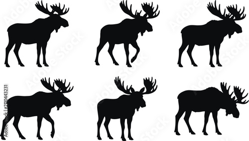 Diverse North American moose elk poses vector silhouette collection for nature emblem
