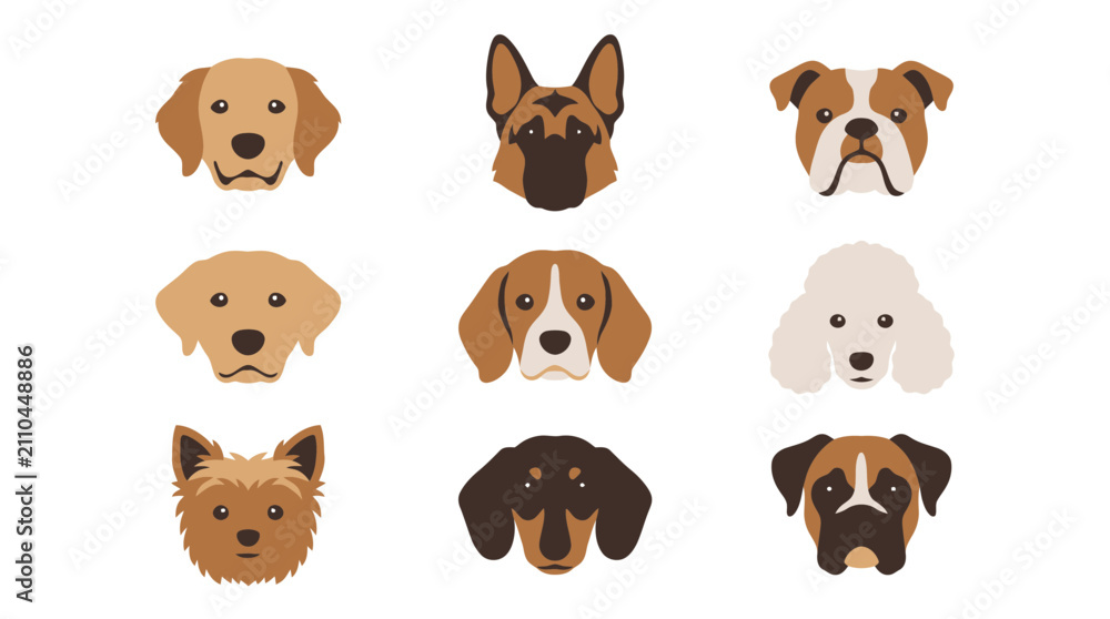 Fototapeta premium Collection of Various Popular Dog Breed Faces Featuring Flat Vector Illustrations for Animal Lovers and Veterinary Design Projects