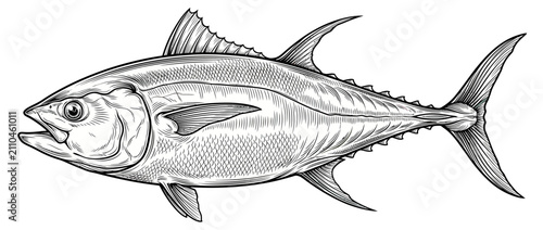 Fotografía Vintage Tuna Fish Illustration