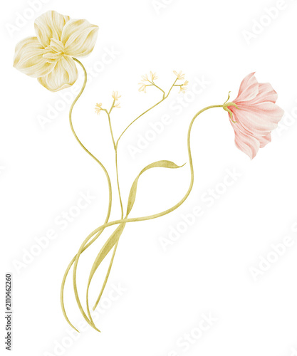 Soft pastel watercolor flower arrangement