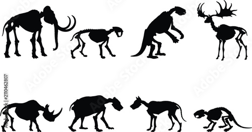 Foto Prehistoric Extinct Animal Skeleton Silhouette Collection with Fossil Bones and