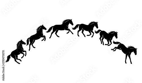 Foto Dynamic Galloping Horse Silhouette Collection Vector