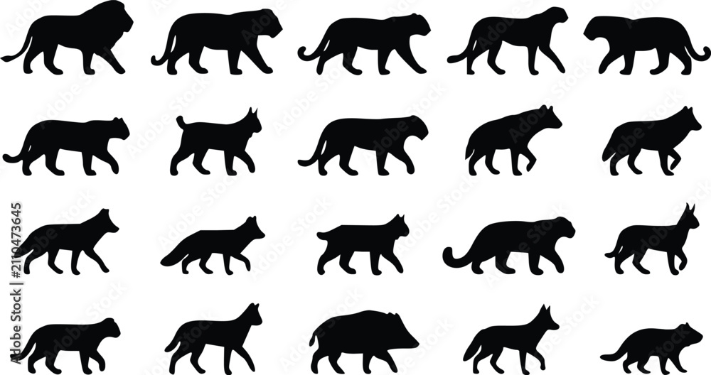 Obraz premium Set of wild animal silhouettes including lions tigers wolves and cats walking in a row isolated collection of various predators in black profile