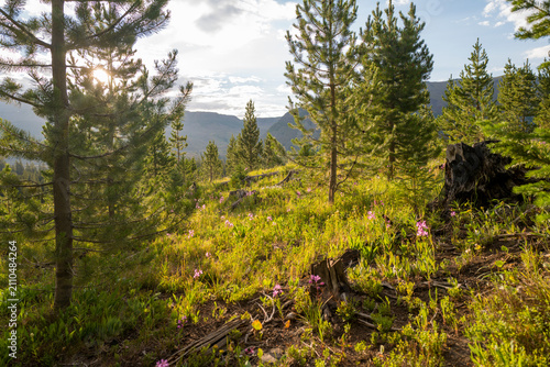 Flat Tops Trail Colorado - Trappers Lake