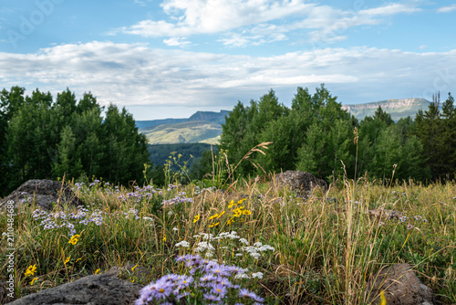 Flat Tops Trail Colorado