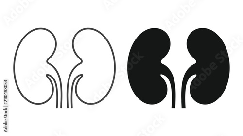 Human Kidneys Anatomical Illustration Set with Outline and Silhouette Icons