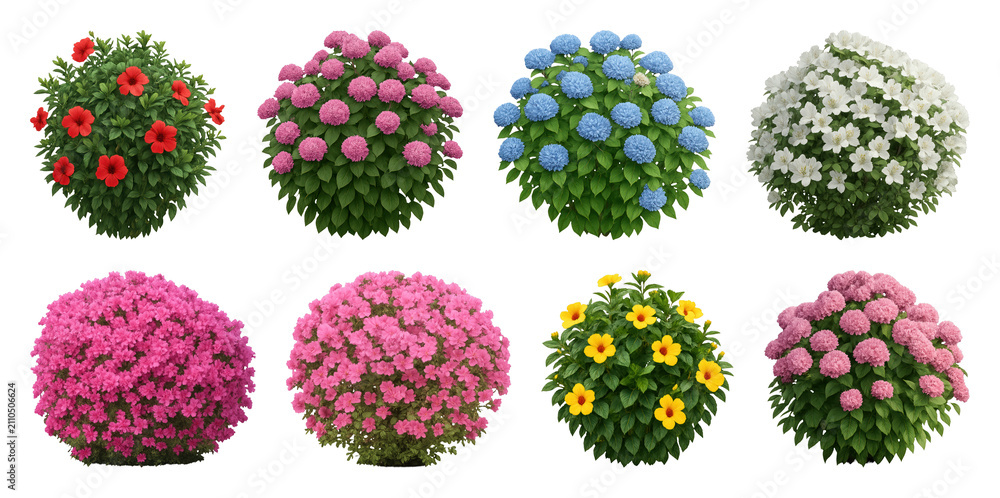 Obraz premium PNG Vibrant blooming flower bushes collection on transparent background