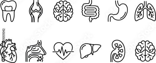 Fotografie Internal organs and body systems line icons set representing anatomy biology hea