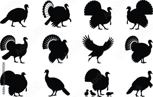 Картината върху платно Collection of various turkey poses displayed in a clean black and white graphic
