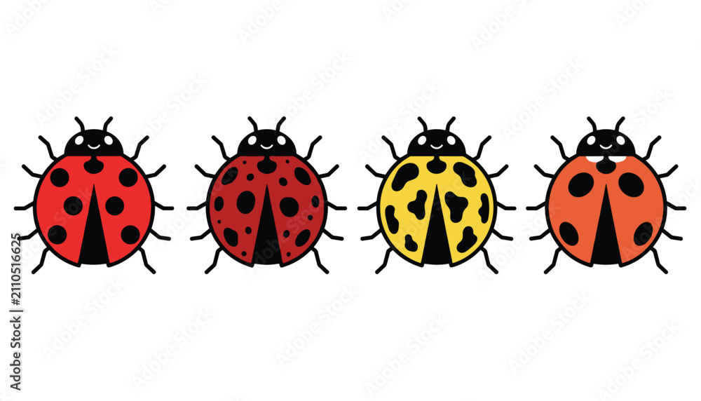 Fototapeta premium Row of four colorful ladybugs with varying shell patterns and spot distributions, highlighting insect diversity.