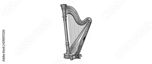 Bild auf Leinwand Vintage Stringed Musical Instrument Drawing