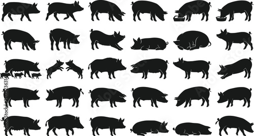 Pig silhouette collection featuring adult pigs and piglets in diverse poses including standing, walking, eating, sleeping, and nursing