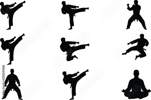 Canvastavla Martial arts fighters vector graphics collection showcasing dynamic high kicks s