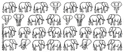 Canvastavla Collection of Hand-Drawn African Elephant Illustrations