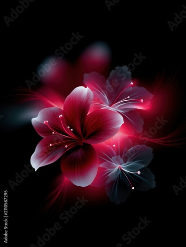Abstract digital art of vibrant red and pink flowers with glowing effect on black background. Stylish floral composition with layered petals and subtle light trails for elegant visual appeal.