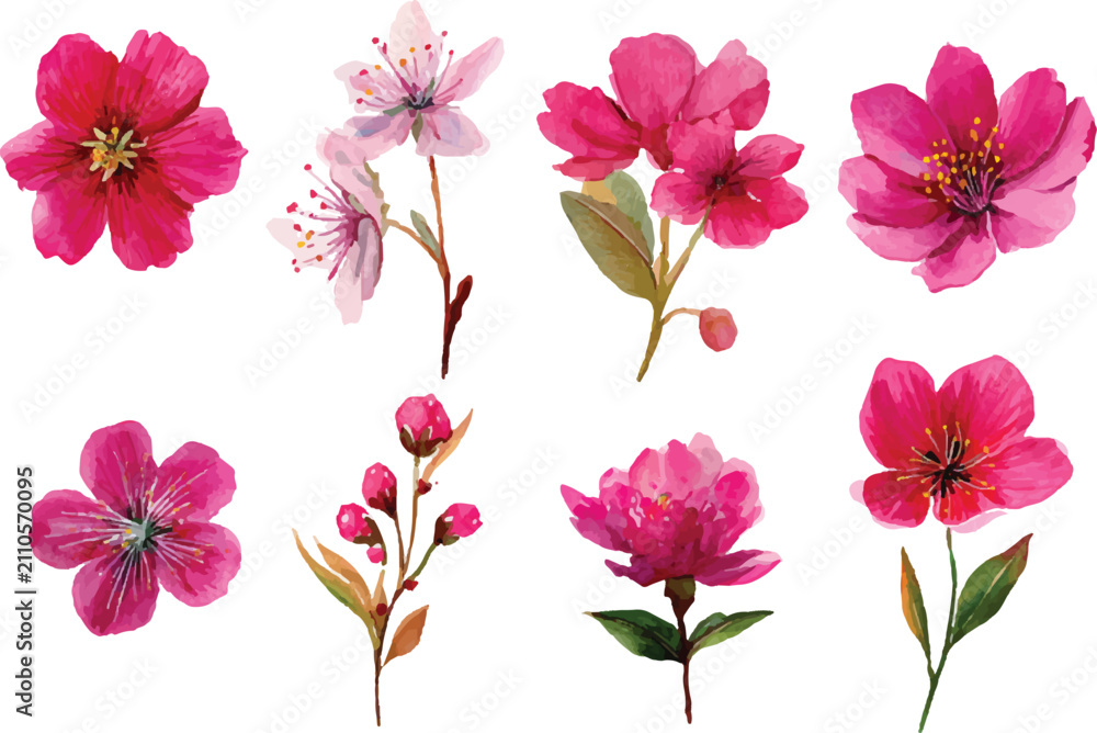 Fototapeta premium set of pink flowers