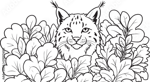 Canvas Print Wild Lynx Hiding in Leaves Foliage Line Art Vector Illustration Coloring Page fo