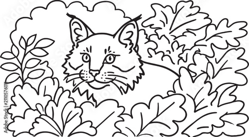 Photography Wild Lynx Hiding in Leaves Foliage Line Art Vector Illustration Coloring Page fo
