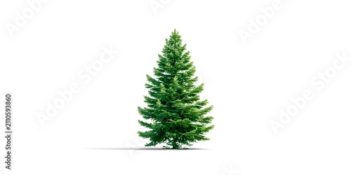 A solitary green pine tree stands tall against a pure white background, casting a subtle shadow.
