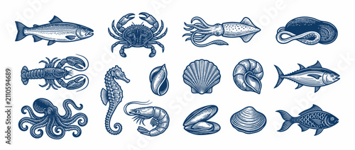 Fotografie Vintage Seafood Collection Illustration