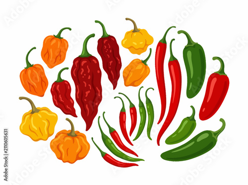 Colorful Assortment Of Fresh Garden Vegetables.
