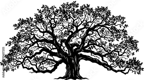 Detailed Black and White Illustration of an Ancient Spreading Tree with Intricate Branches and Lush Foliage