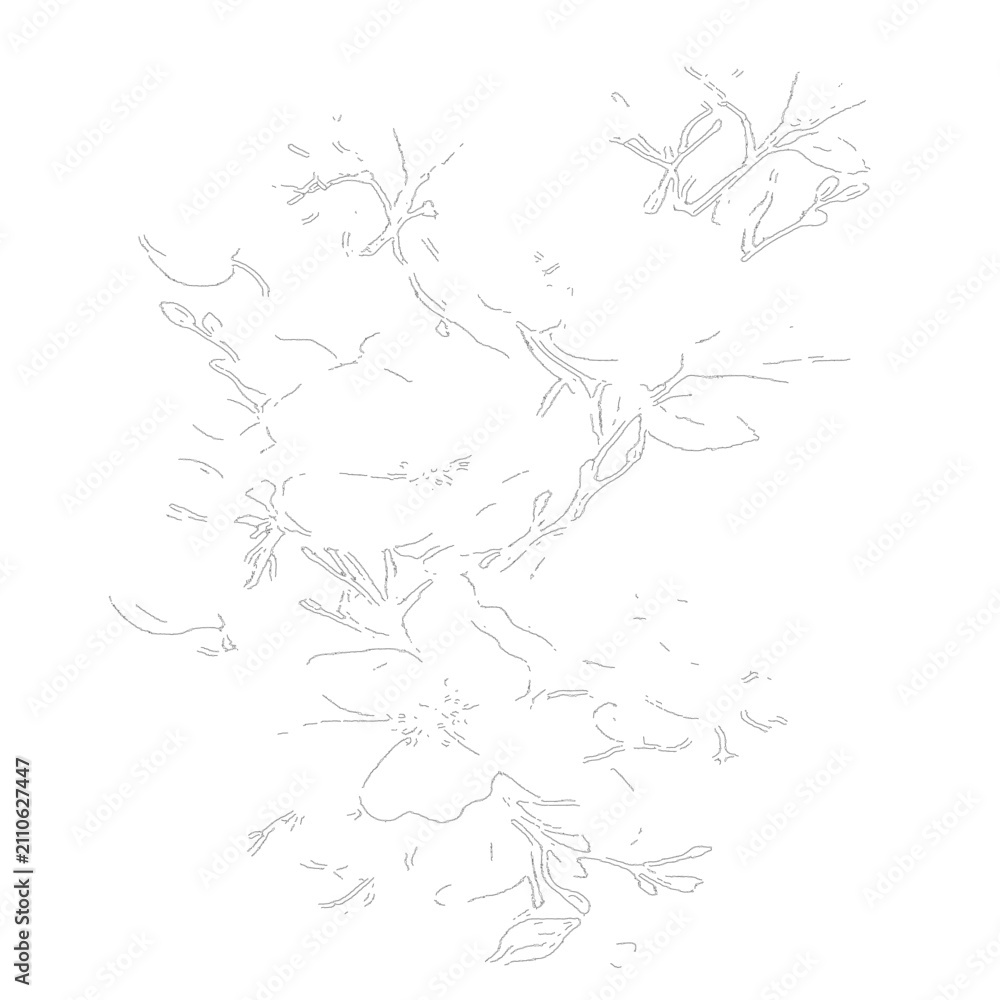 Fototapeta premium Twisting flowering tree branch illustration on transparent background