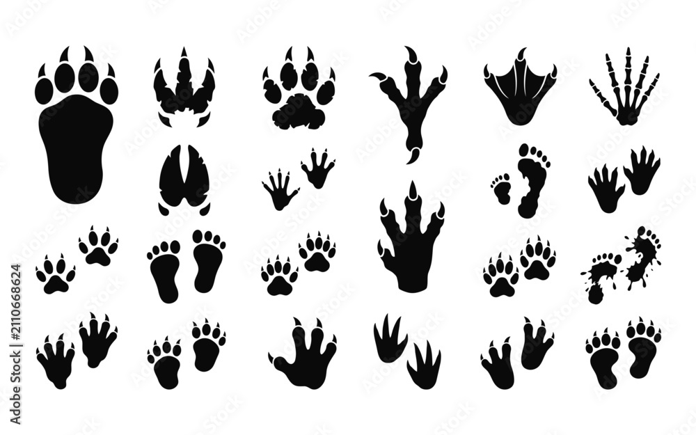 Obraz premium Collection of animal and monster footprints in black silhouette