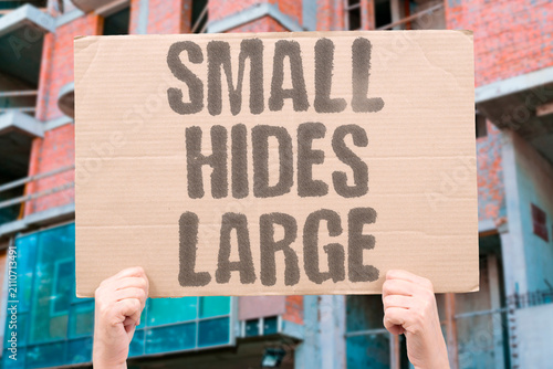 Fotografie "Small Hides Large" A tiny plume can signal a big crisis