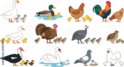 фотографія Domestic Poultry and Waterfowl Vector Set Featuring Mother Birds and Cute Chicks