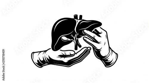Gloved Hands Holding Human Liver Organ Black Silhouette Vector Graphic

Medical Organ Transplant Hands Holding Liver Silhouette Icon for Healthcare

Doctor Hands Holding Organ Liver Visual Silhouette 
