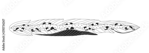 Kembulan traditional food on banana leaves black and white cartoon clipart. Javanese dining tradition. Shared meal with rice. Communal serving isolated vector linear element. Flat spot illustration