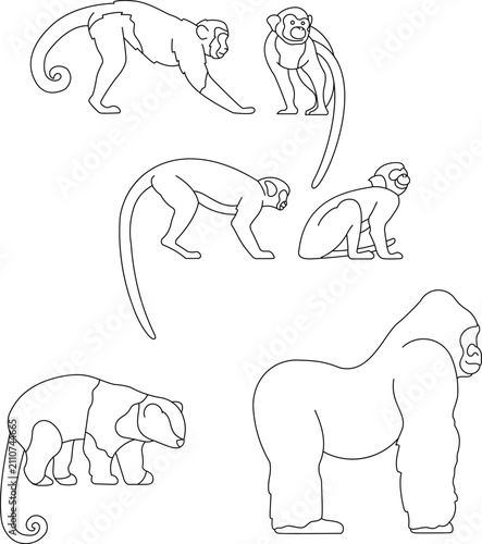 Canvas Print Monkeys in Different Poses Line Art Vector Set