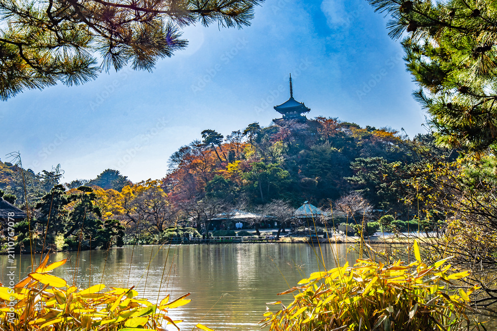 Photography Poster 紅葉に囲まれた三溪園の丘に建つ三重塔の眺め