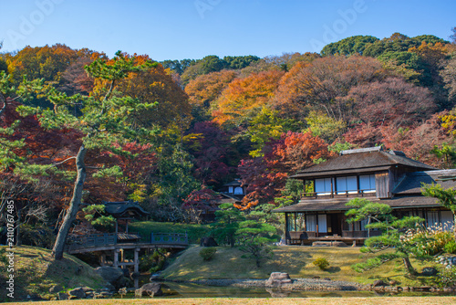 紅葉に彩られた三溪園の歴史的な日本家屋