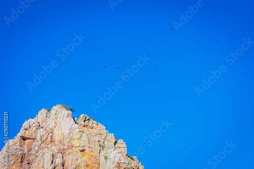 Fotografie Landscape of Monfrague National Park (Extremadura, Spain)